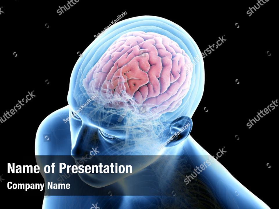 powerpoint presentation nervous system background powerpoint