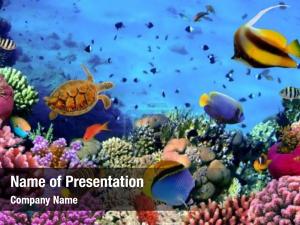 Fish coral reef underwater  PowerPoint Template