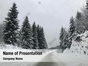 Forest Snow PowerPoint Templates - Forest Snow PowerPoint Backgrounds ...