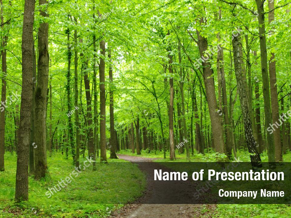 Nature path through PowerPoint Template - Nature path through PowerPoint  Background