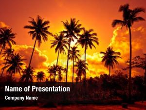 Tropical Sunset PowerPoint Template