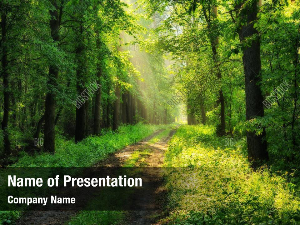 Forest Powerpoint Background