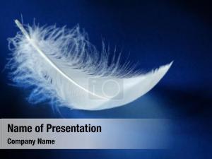 Feather PowerPoint Template