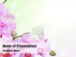  PowerPoint Template