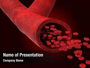 Blood Vessels