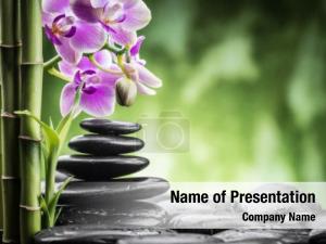 Zen spa concept stones orchid PowerPoint Template