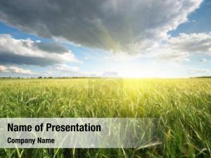  PowerPoint Template