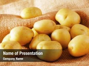 Raw potato  PowerPoint Template