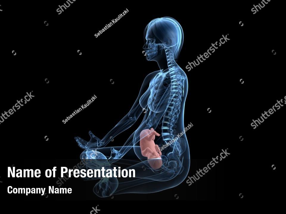 fetus-of-a-pregnant-powerpoint-template-fetus-of-a-pregnant