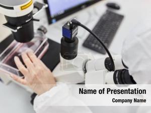 Microscope Researches PowerPoint Template