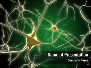Human neurons network brain 