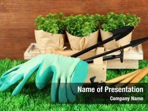 Planting Seeds PowerPoint Templates - Planting Seeds PowerPoint ...