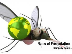 Mosquito illustration fun  