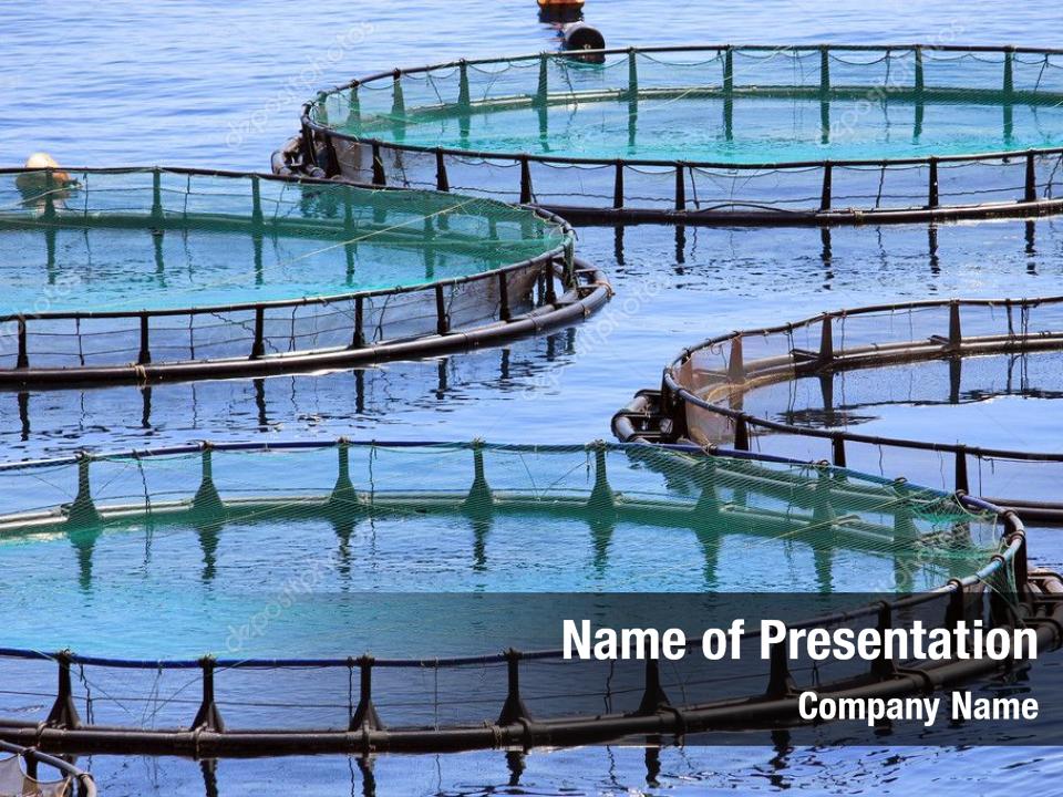 powerpoint presentation on aquaculture