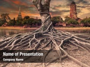  PowerPoint Template