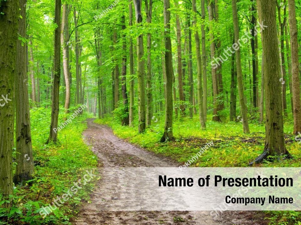 Forest path PowerPoint Template - Forest path PowerPoint Background