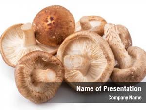 Shiitake mushrooms