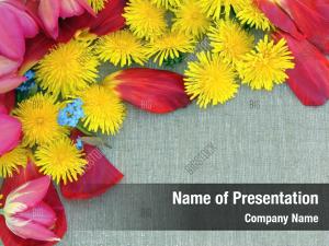 PowerPoint Templates, PowerPoint Backgrounds for Presentation ...