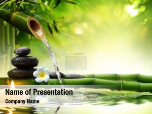  PowerPoint Template