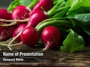 Bunch of Radish PowerPoint Template