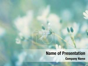 Wildflowers PowerPoint Template