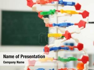 Plastic DNA Model PowerPoint Template