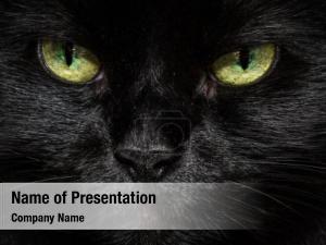 Black Cat PowerPoint Template