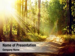 Sunrise in the Deep Forest PowerPoint Template