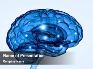 Human Brain PowerPoint Template