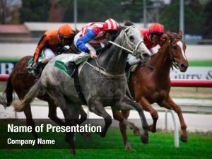 Horse Races