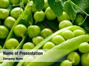 Green Peas PowerPoint Template