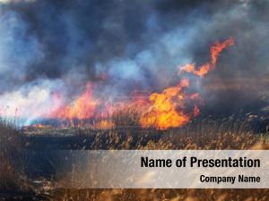 Natural Disaster PowerPoint Template