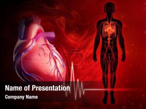 Heart illustration human beat diagram