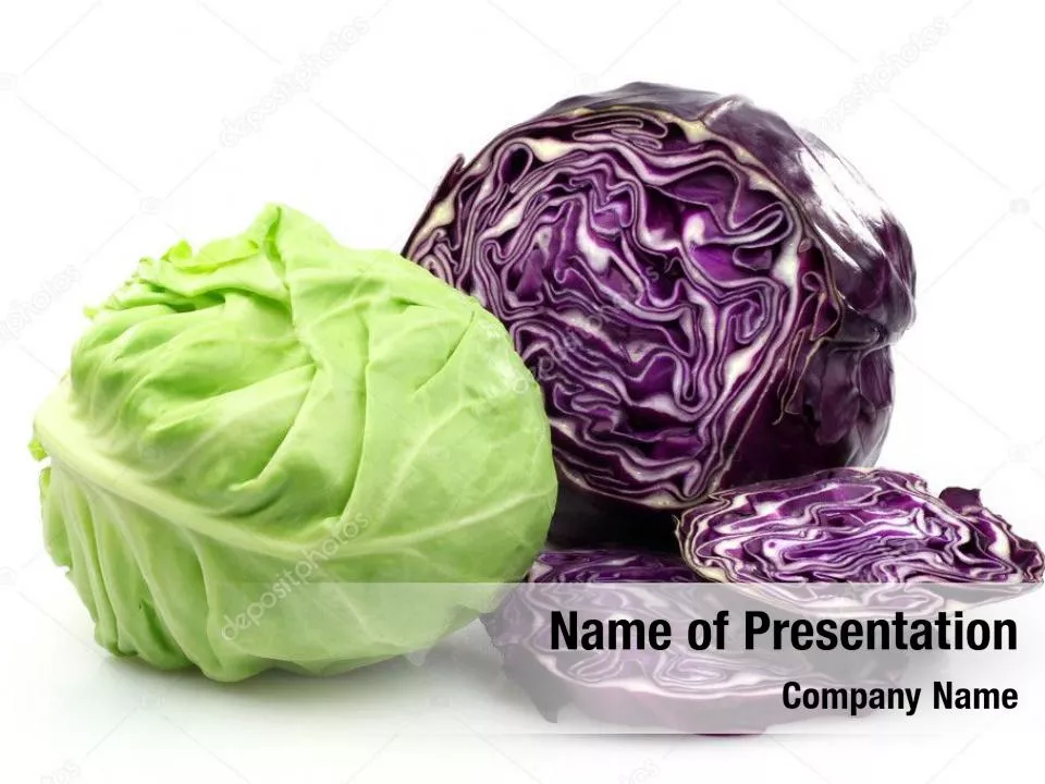 Cabbage
