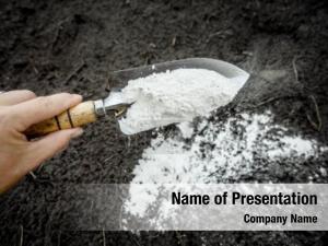 Soil Acidity PowerPoint Template