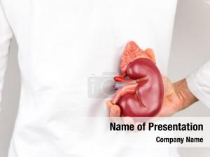 Kidney Health PowerPoint Template