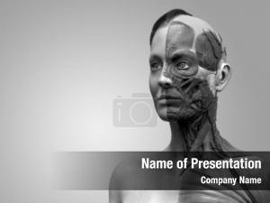 Detailed Female Muscle Anatomy of Face, Neck, and Chest in Reali