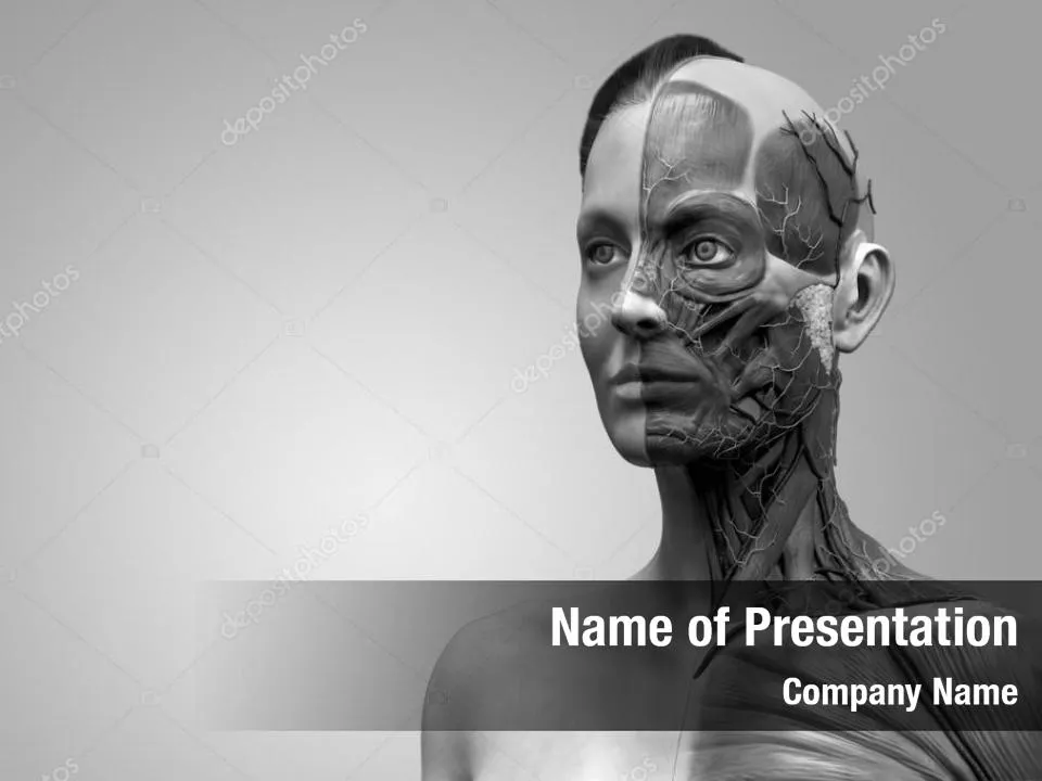 Detailed Female Muscle Anatomy of Face, Neck, and Chest in Reali