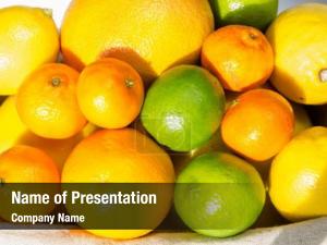 Vivid Fruits PowerPoint Template