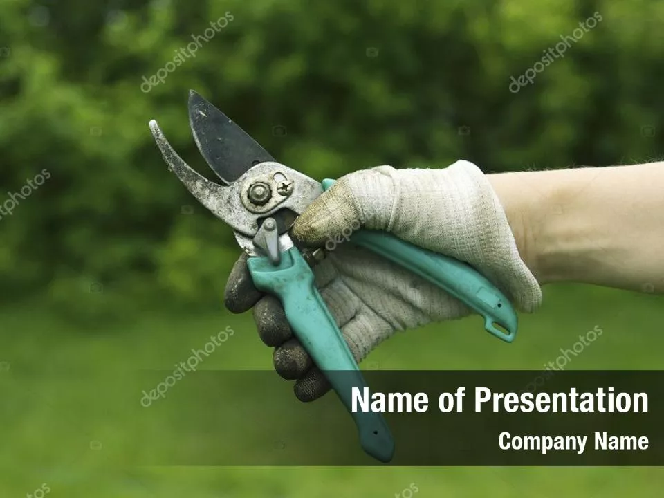 Hand In Glove Holding Scissors