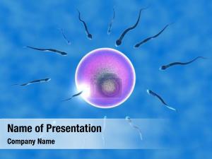 Sperm conception, ovule viewed under