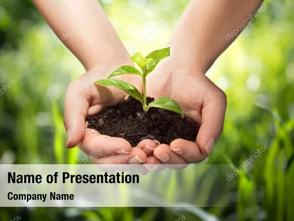 Environmental Conservation