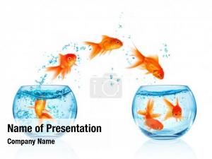  PowerPoint Template