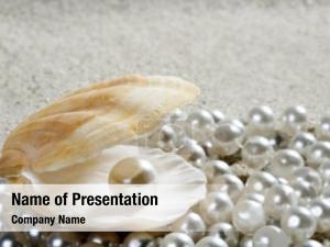 Pearl in the Shell