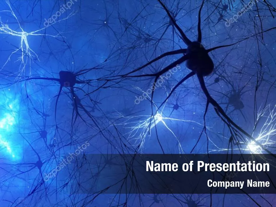 Neurons Networks