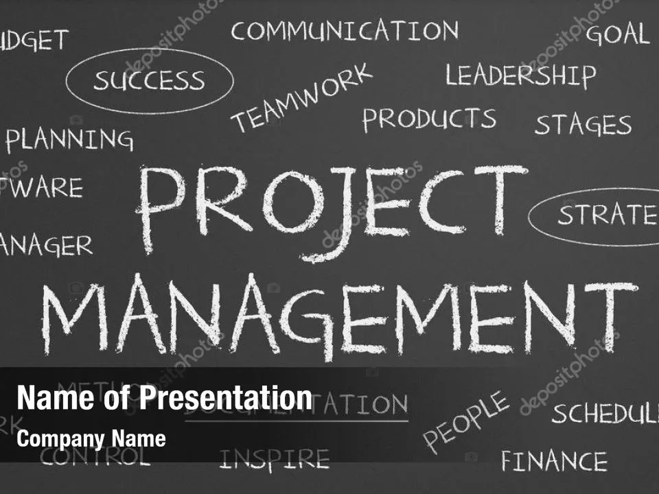 Project Manager