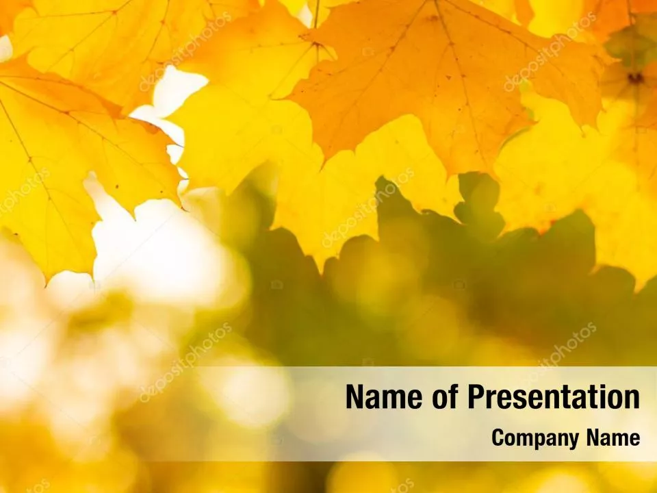 Branch with Yellow Leaves