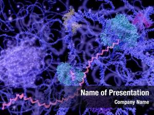 Nucleus view cell interphase (dna,