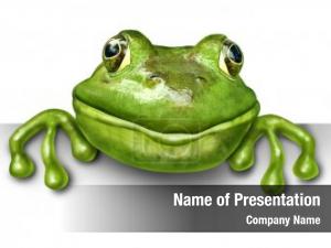 Blank frog holding sign front