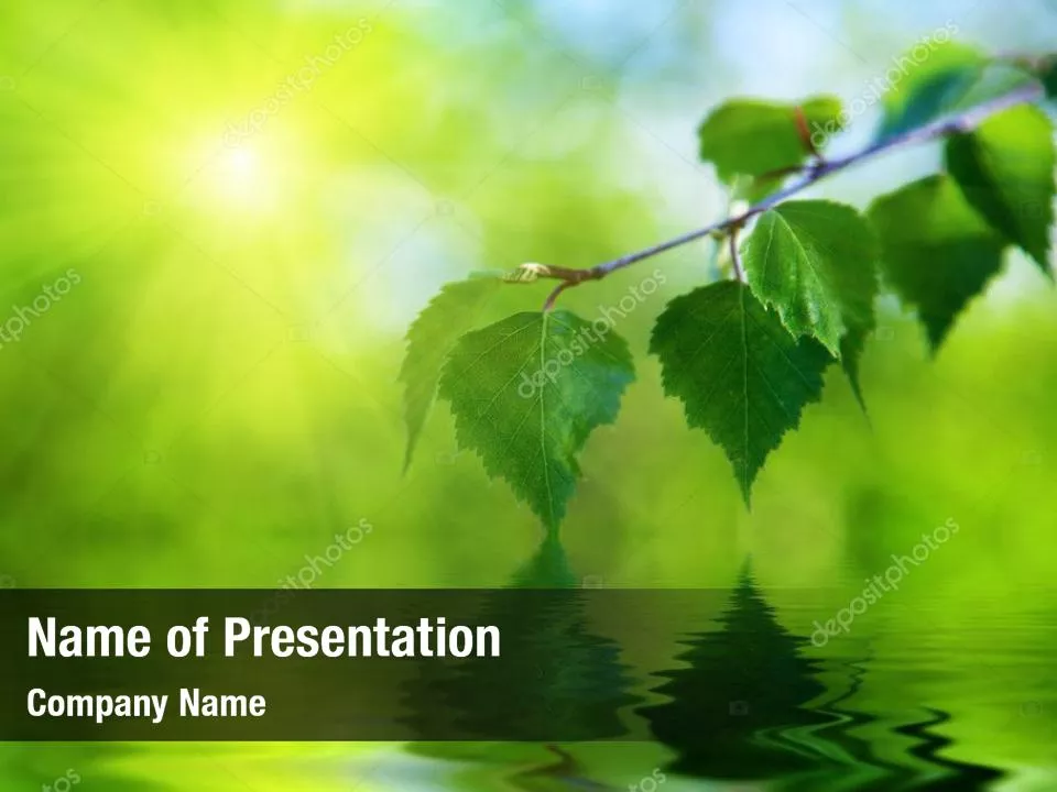 River and Green Leaves